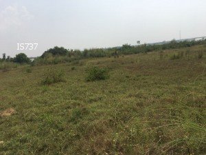 Industry Land For Sale in Shwepyithar, Yangon