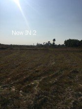 Industry For Rent in Hlaingtharyar Township. in Hlaingtharyar, Yangon