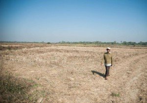 အနောက်တောင်မြို့သစ်စီမံကိန်းတွင် လယ်ယာမြေများ အရောင်းအဝယ်ပိုဖြစ်နေ